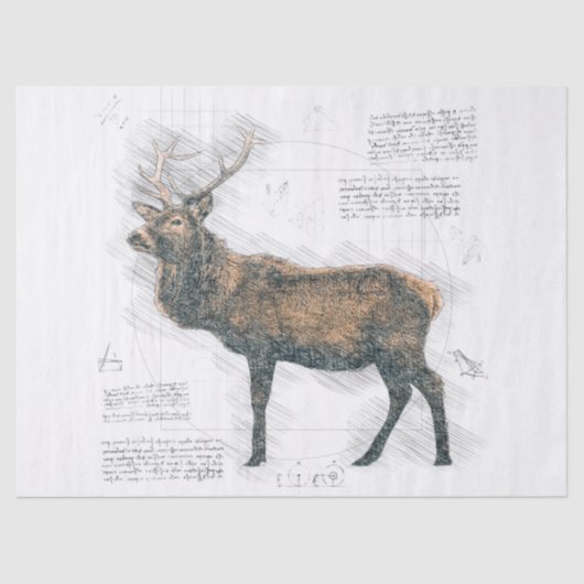 Elk Stag Zeichnend Seidenpapier (Vorderseite)