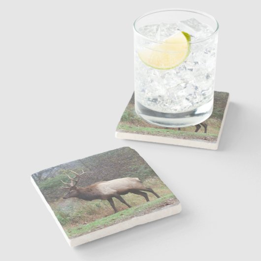 Elk Untersetzer (Seitenansicht)