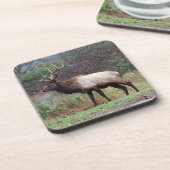 Elk Untersetzer (Linke Seite)