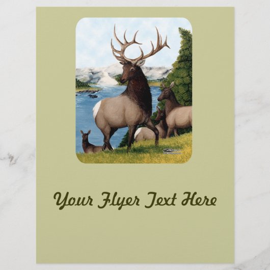 Elk Wapiti Flyer (Vorne)