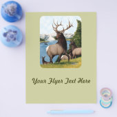 Elk Wapiti Flyer (Einzeln)