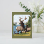Elk Wapiti Postkarte (Stehend Vorderseite)