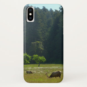 Elk-Wiese im Redwood-Nationalpark Case-Mate iPhone Hülle