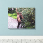 Elk Wrapped Canvas Leinwanddruck (Insitu (Holzboden))