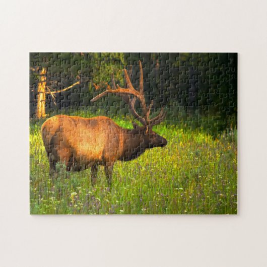 Elk Yellowstone Montana. Puzzle (Horizontal)