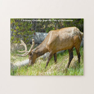 Elk Yellowstone Montana. Weihnachtsgrüße Puzzle