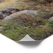 Elkbuglen im Rocky Mountain National Park Print Poster (Ecke)
