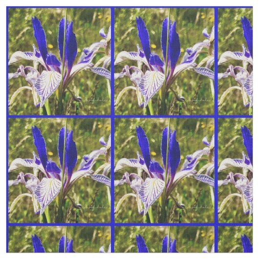 Elkhorn Mountain Iris Stoff (Muster)