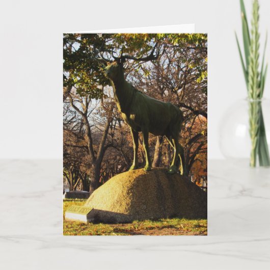 "Elks Erholung" Sympathiekarte Karte (Vorderseite)