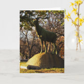 "Elks Erholung" Sympathiekarte Karte (Gelbe Blume)