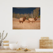 Elks Poster (Küche)