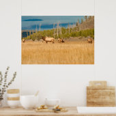 Elks Poster (Küche)