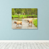 Elks überqueren den Colorado-Fluss Leinwanddruck (Insitu (Holzboden))