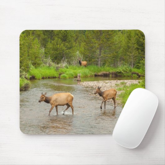 Elks überqueren den Colorado-Fluss Mousepad (Mit Mouse)