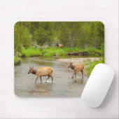 Elks überqueren den Colorado-Fluss Mousepad (Mit Mouse)