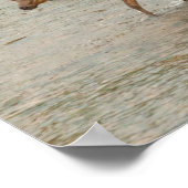 Elks überqueren den Colorado-Fluss Poster (Ecke)