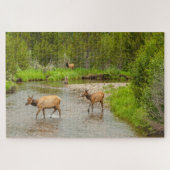 Elks überqueren den Colorado-Fluss Puzzle (Horizontal)