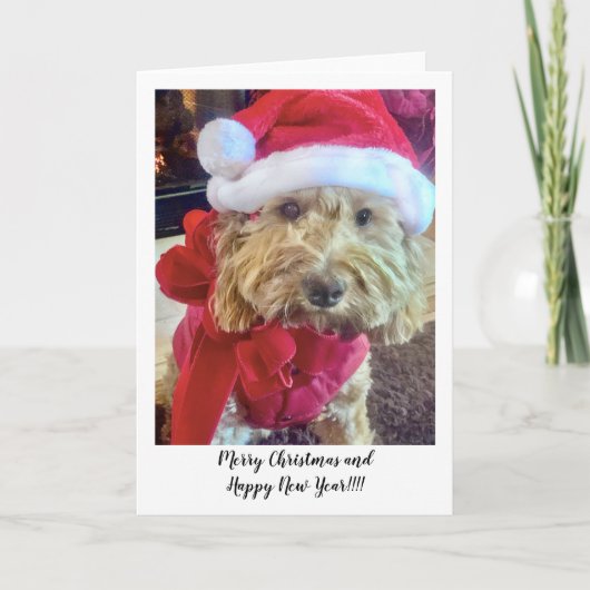 Ella Bella Banana Santa Dankeskarte (Vorderseite)