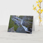 Ella Falls at Sequoia National Park Karte (Gelbe Blume)