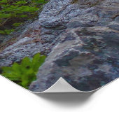 Ella Falls at Sequoia National Park Poster (Ecke)