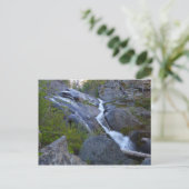Ella Falls at Sequoia National Park Postkarte (Stehend Vorderseite)