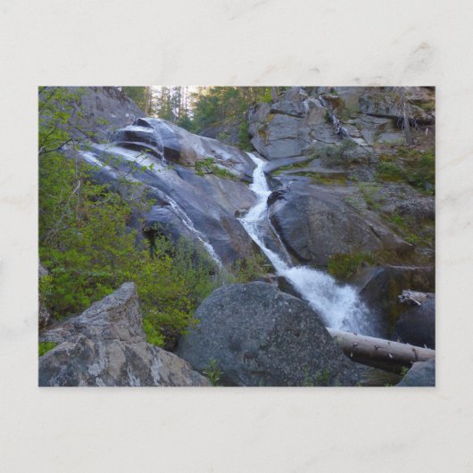 Ella Falls at Sequoia National Park Postkarte (Vorderseite)