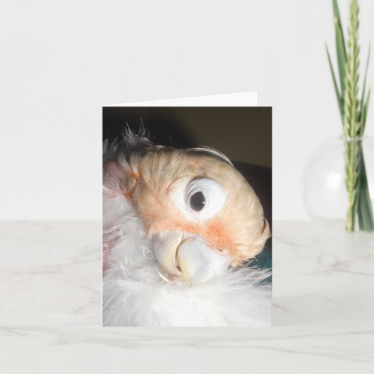 Ella Glamour Karte (Vorderseite)