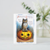 Ellen H. Clapsaddle: Halloween-Eule Postkarte (Stehend Vorderseite)