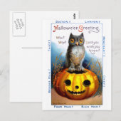 Ellen H. Clapsaddle: Halloween-Eule Postkarte (Vorne/Hinten)