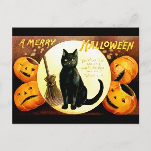 Ellen H. Clapsaddle: Halloween-Katze Postkarte (Vorderseite)