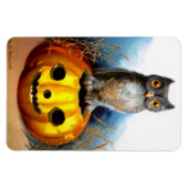 Ellen H. Clapsaddle: Halloween Owl Magnet (Horizontal)