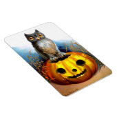 Ellen H. Clapsaddle: Halloween Owl Magnet (Rechte Seite)