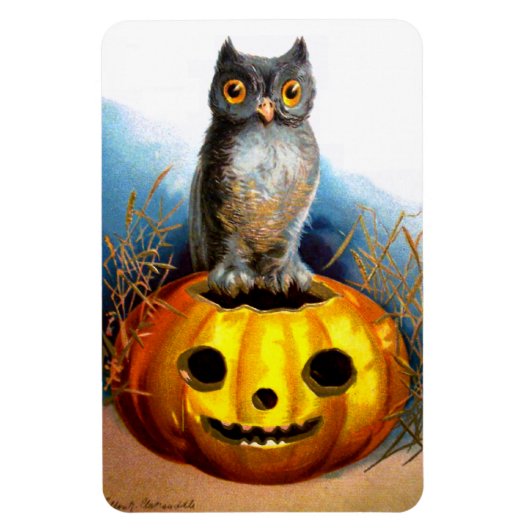 Ellen H. Clapsaddle: Halloween Owl Magnet (Vertikal)