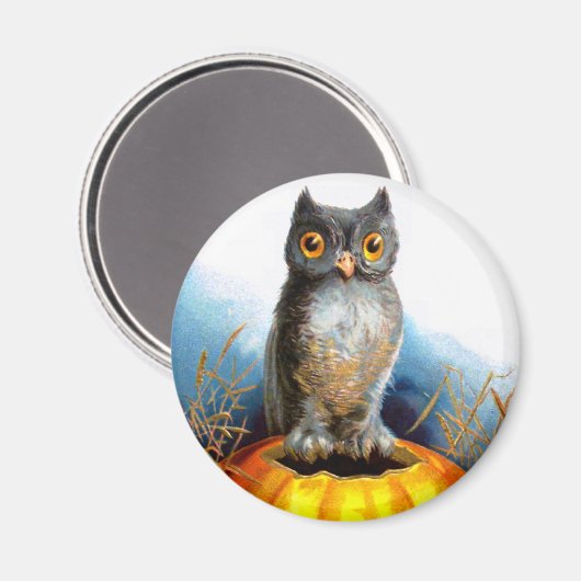 Ellen H. Clapsaddle: Halloween Owl Magnet (Vorderseite/Rückseite)