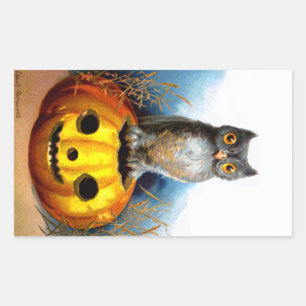 Ellen H. Clapsaddle: Halloween Owl Rechteckiger Aufkleber