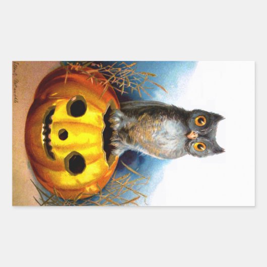 Ellen H. Clapsaddle: Halloween Owl Rechteckiger Aufkleber (Vorderseite)