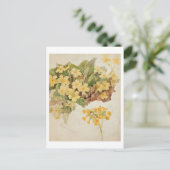 Ellen Terry (1847-1928) als Cordelia nach einem Fo Postkarte (Stehend Vorderseite)