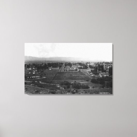 Ellensburg, WA Birds Augenblick Stadtbild Leinwanddruck (Vorderseite)