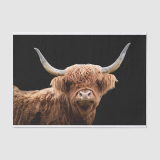 Ellie, das Highland Coo Seidenpapier