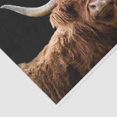 Ellie, das Highland Coo Seidenpapier (Ausschnitt)