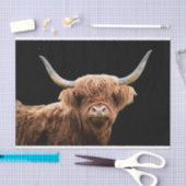 Ellie, das Highland Coo Seidenpapier (Handwerk)
