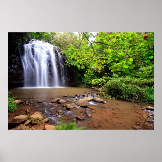 Ellinjaa-Wasserfall, Australien Poster (Vorne)