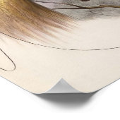 Elliot - Paradisea apoda - Großer Bird of Paradise Poster (Ecke)