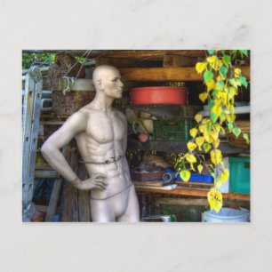 Ellis Garden III Postkarte