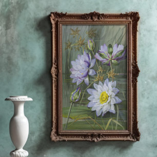 Ellis Rowan Blue White Water Lily Vintage Blume Poster