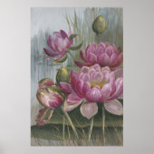 Ellis Rowan Pink Water Lily Vintage Blume Poster (Vorne)