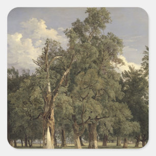 Elm-Bäume in Prater, 1831 Quadratischer Aufkleber