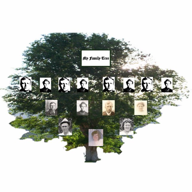 Elm-Familienbaum der vier Generationen Freistehende Fotoskulptur (Vorne)