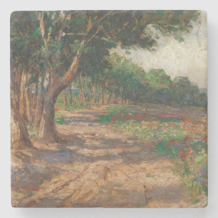 Elm gesäumte Promenade in Euxinograd Steinuntersetzer