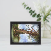 Elm Maid Postkarte (Stehend Vorderseite)